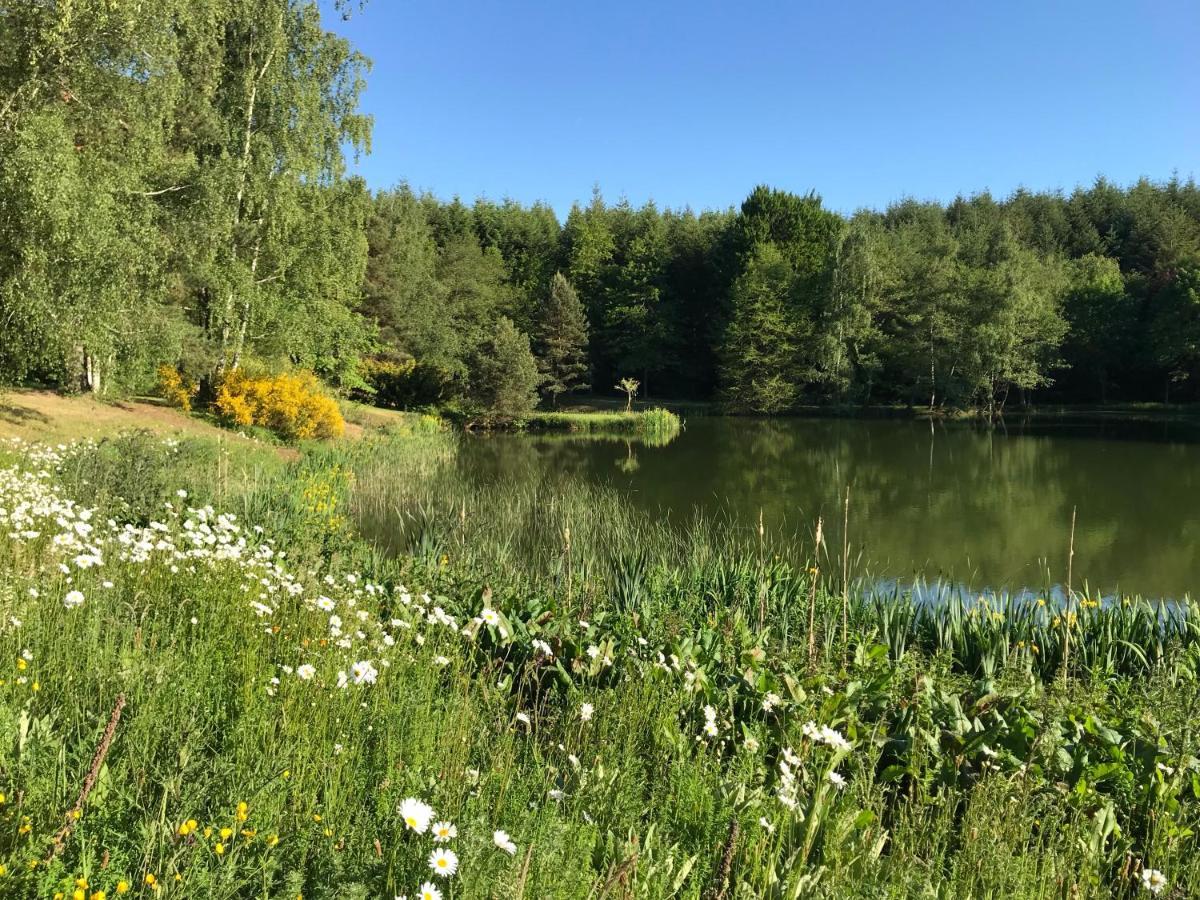 Morvan La Pastourelle Quarré-les-Tombes Eksteriør billede