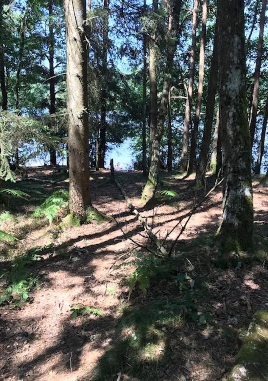 Morvan La Pastourelle Quarré-les-Tombes Eksteriør billede