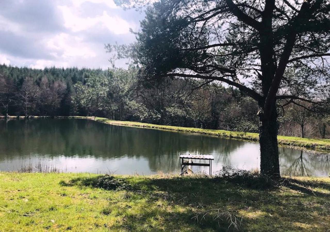 Morvan La Pastourelle Quarré-les-Tombes Eksteriør billede