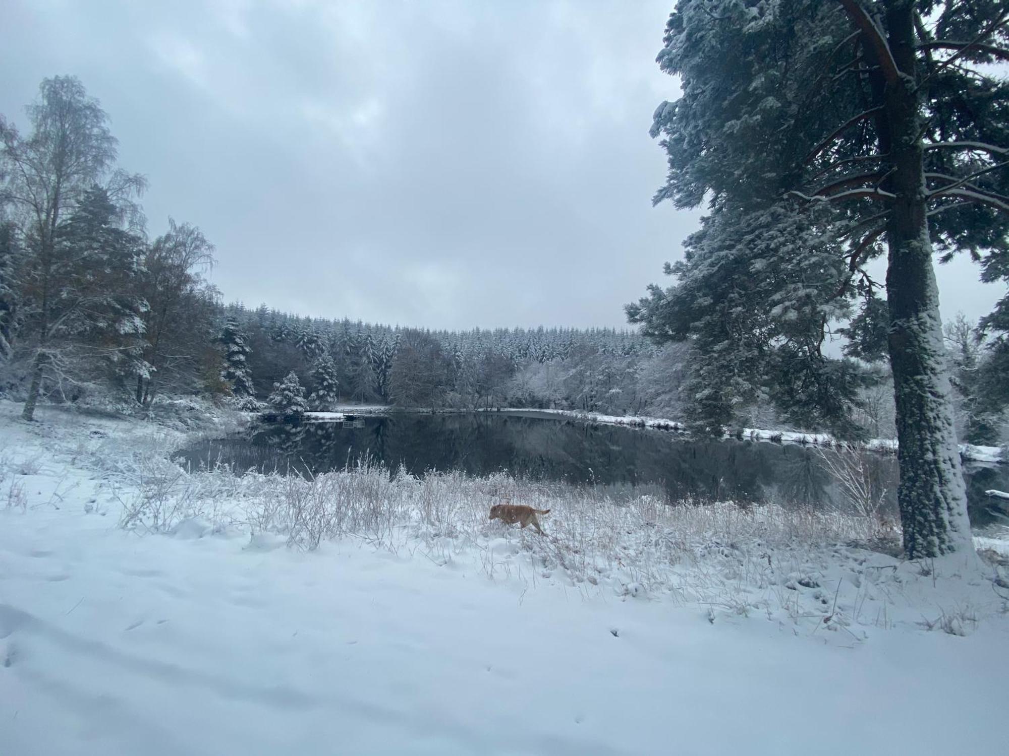 Morvan La Pastourelle Quarré-les-Tombes Eksteriør billede